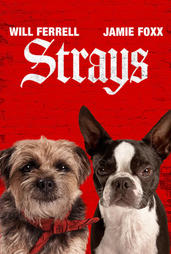 STRAYS HD