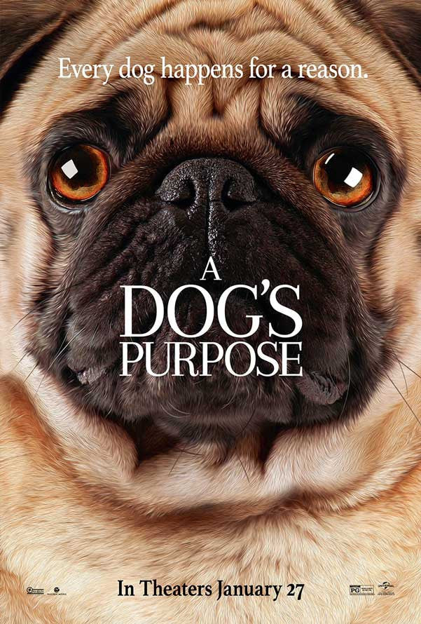 A DOG'S PURPOSE  HD