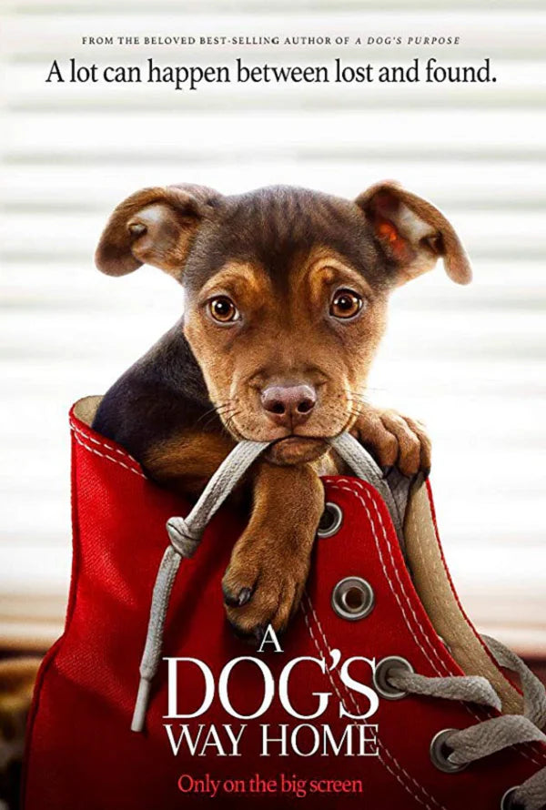 A DOG'S WAY HOME  HD OR  HD